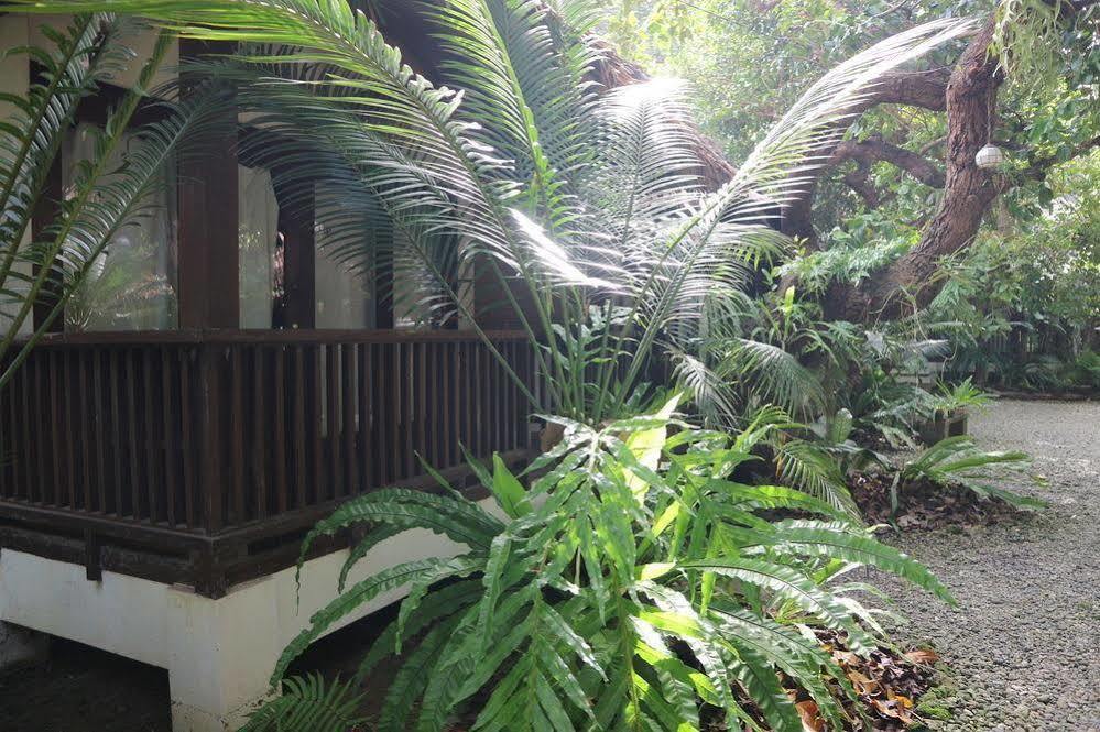 Blue Bayou Bungalows Balabag  Extérieur photo